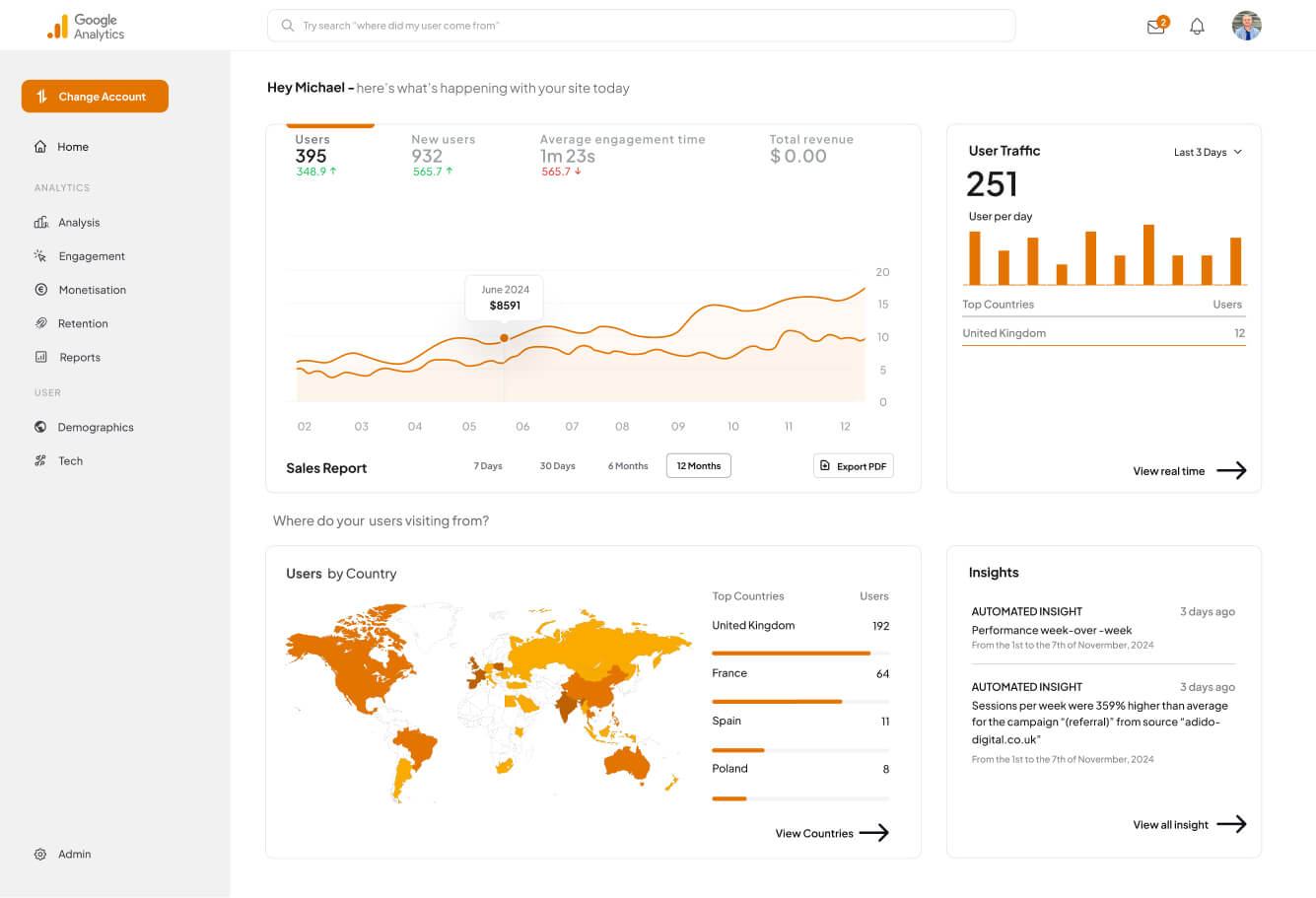 Google Analytics Report